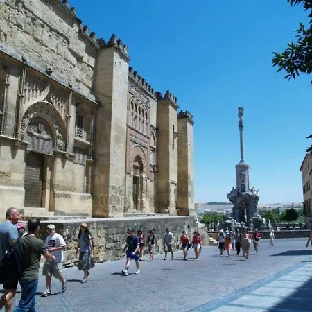 Casa Alfonso Xiii شقة *